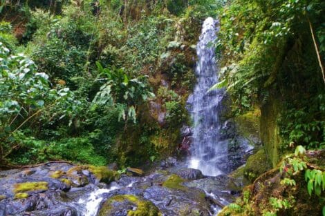 Réserves et parcs : Caraïbes  – Costa Rica