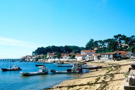 Découvrez les gouteuses huîtres du Cap Ferret