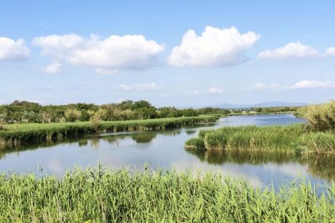 Les Parcs Naturels de la Costa Brava