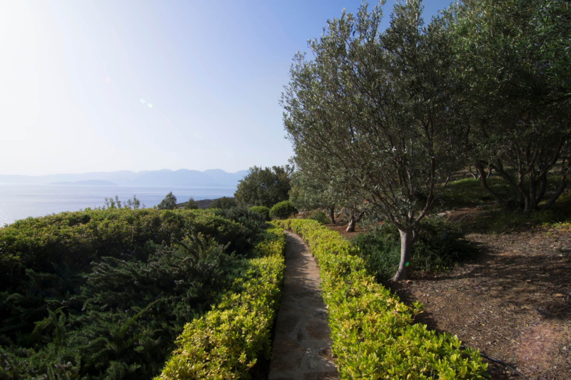 Photo villa - CREAGI 5601 - 49