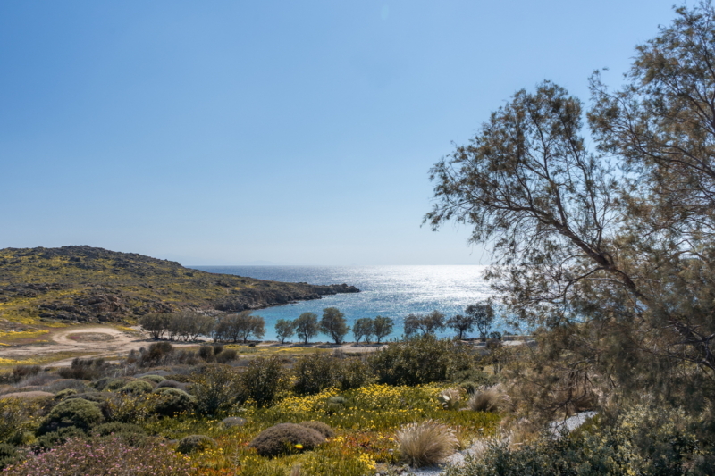 Photo villa - CYCMYK 4401 - 39