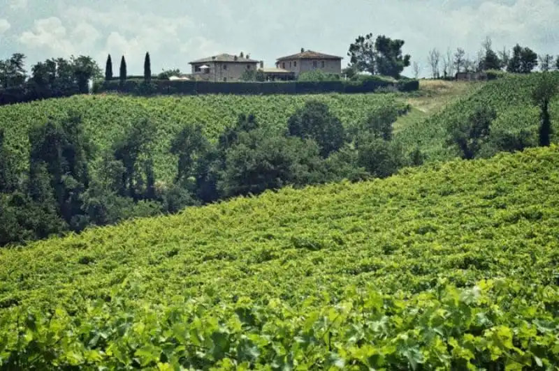 Photo villa - OMBORV 3051 - 4