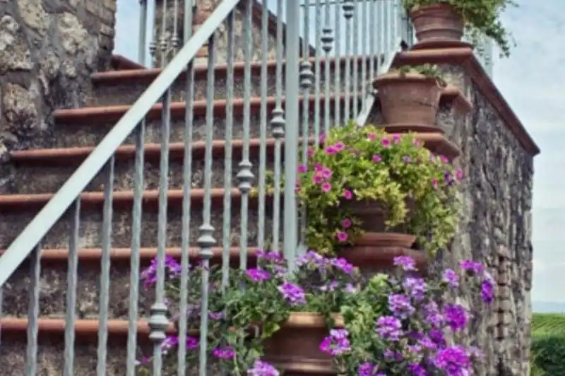 Photo villa - OMBORV 3051 - 9