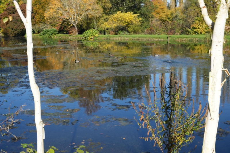 Photo villa - NORPER 006 - 29