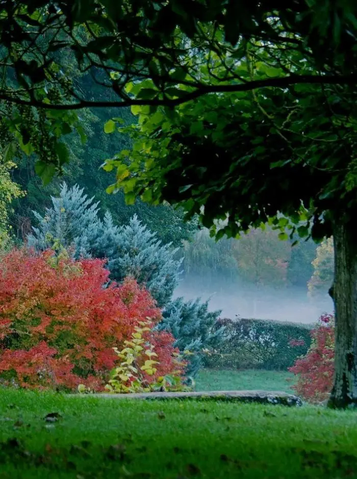 Photo villa - NORPER 006 - 22