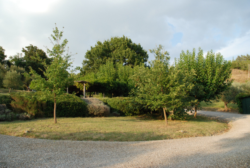 Photo villa - TOSSIE 7045 - 46
