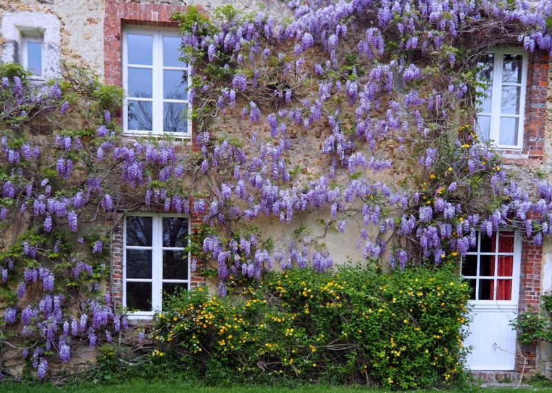 Photo villa - NORPER 006 - 28