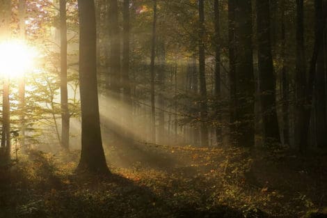 Vacances à la campagne