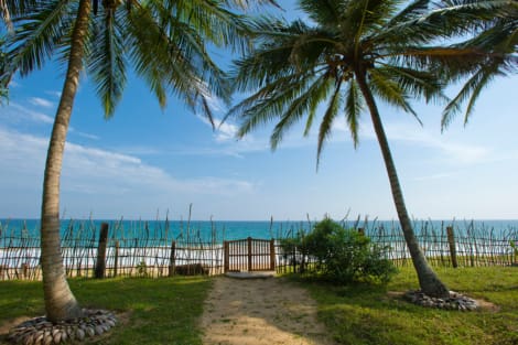asie-et-ocean-indien - sud-de-sri-lanka-tangalle