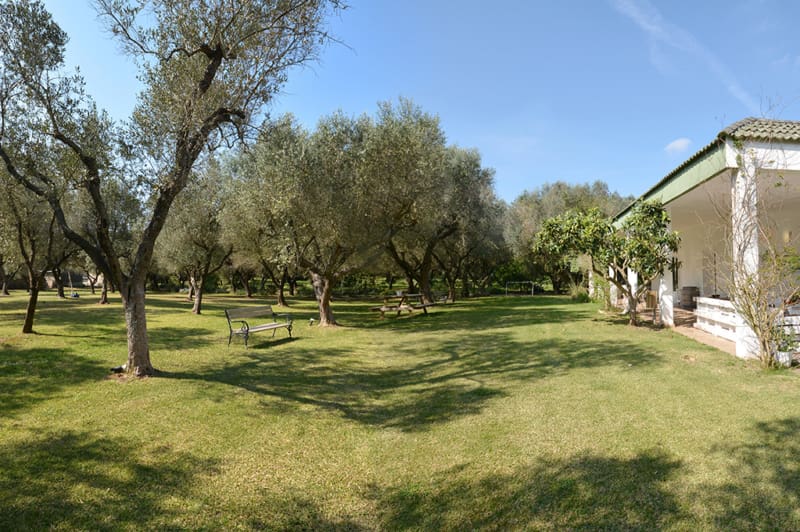 Photo villa - POULEC 2968 - 50
