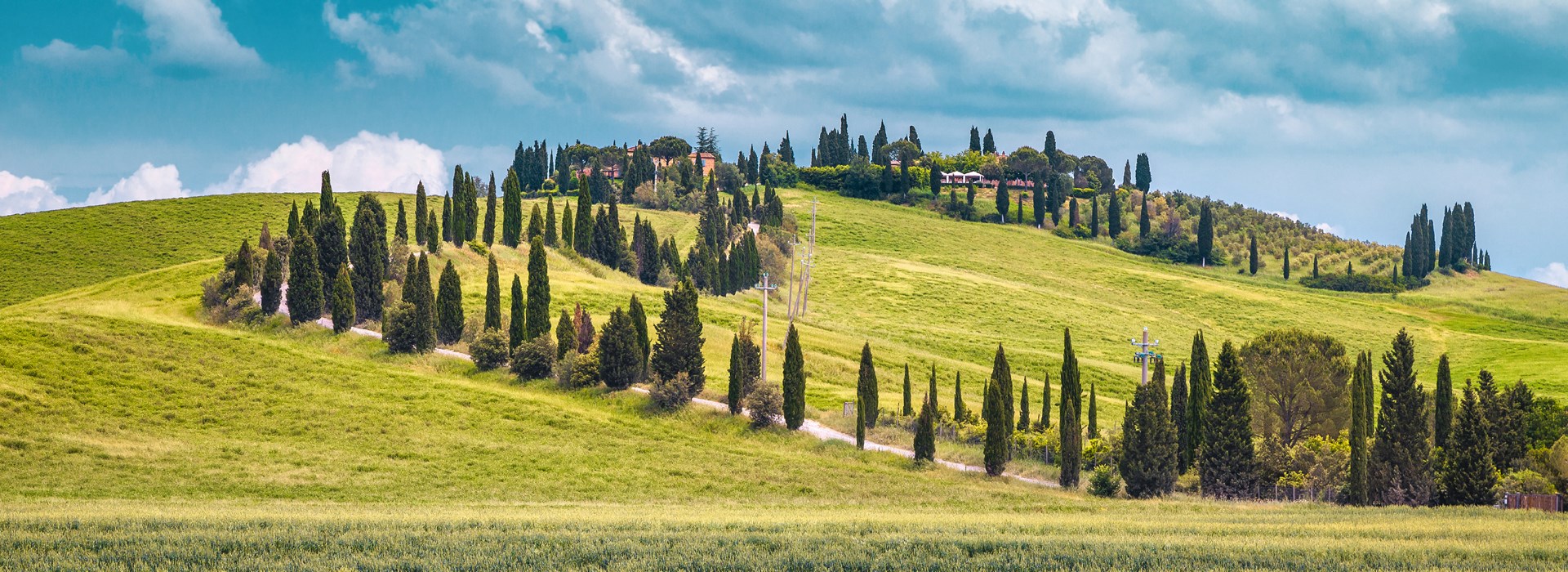 Chiantigiana location villa de luxe italie toscane monts