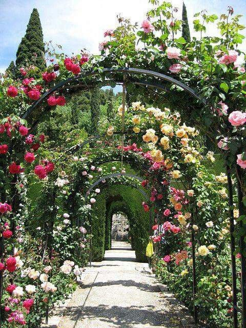 Giardino delle Rose