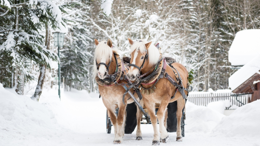 WINTER-SNOW-HOLIDAYS-ACTIVITIES-AND-EXPERIENCES-IN-THE-FRENCH-ALPS-1