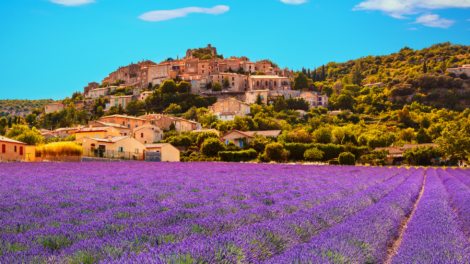 Discovering Provence: A guide to 8 must-do activities