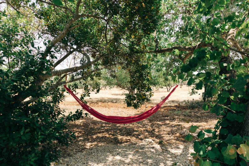 Photo villa - POUOST 002 - 8