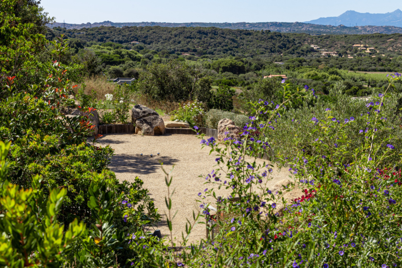 Photo villa - CORSPE 009 - 20