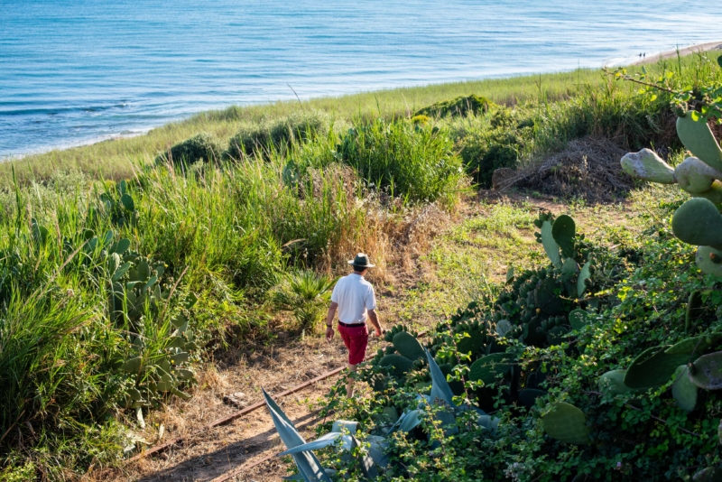 Photo villa - SICMAR 1325 - 3